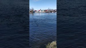 1 мая Сургут #рыбалка