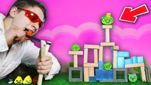 СДЕЛАЛ ИГРУ ANGRY BIRDS В РЕАЛЬНОЙ ЖИЗНИ!