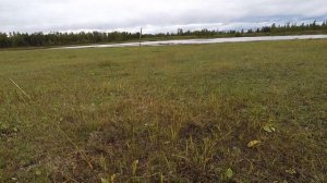 Осенняя охота на утку с подхода в Якутии 2022