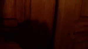 Чернигов. Забавная щедривка