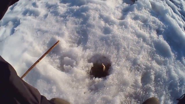 НА ЭТО ЗИМОЙ КЛЮЁТ ВСЯ мирная РЫБА НА ЗИМНЕЙ РЫБАЛКЕ смотреть онлайн