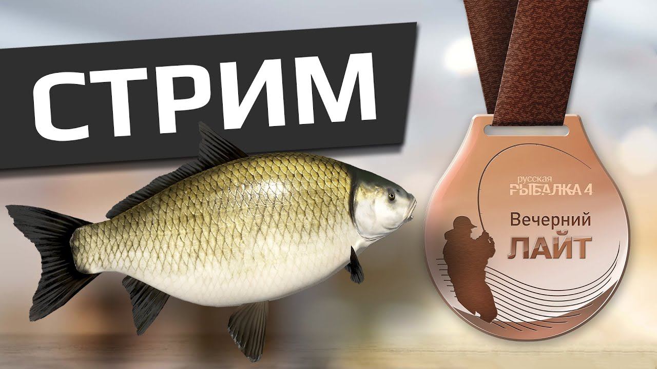 РУССКАЯ РЫБАЛКА 4 - Вечерний лайт / Максимальный вес 3 хвостов Буффало большеротый / Ахтуба смотреть онлайн