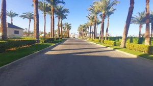территория отеля Reef Oasis Beach Resort в Sharm El Sheikh