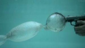 The Slow Mo Guys на Русском (Выпуск # 3)