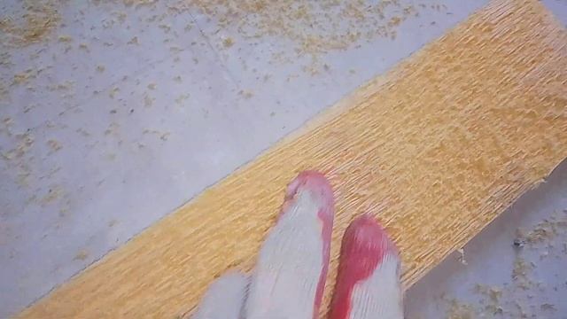 Насечки на экструдированном пенополистироле. Под растворный клей. смотреть онлайн