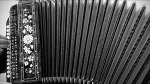 «Там, где клён шумит» на гармони 🪗