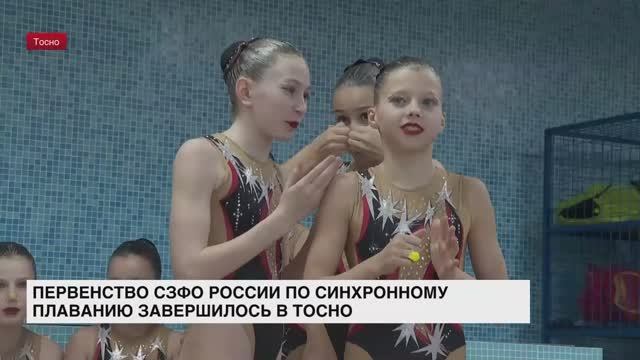 В Тосно завершилось первенство СЗФО России по синхронному плаванию