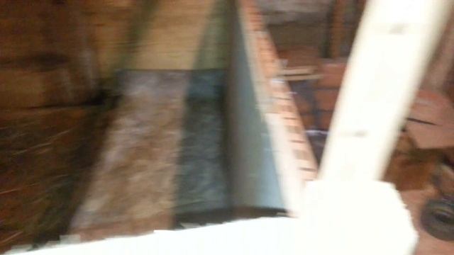 Разведение Вьетнамской вислобрюхой свиньи, кроликов и кур, содержание в подвале гаража смотреть онлайн