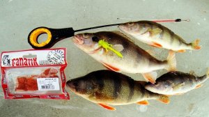 МИК МАУС новая приманка от Фанатик. Ловля окуня.