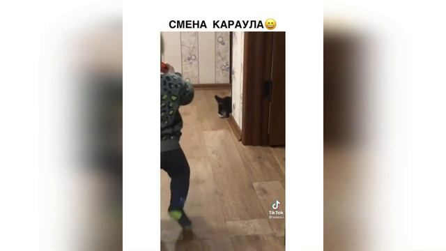 ЛУЧШИЕ ЖИВОТНЫЕ ВИДЕО НЕДЕЛИ! Забавные и милые животные