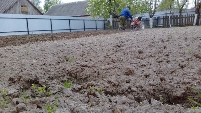 Подготовка почвы к посеву тыквы. смотреть онлайн