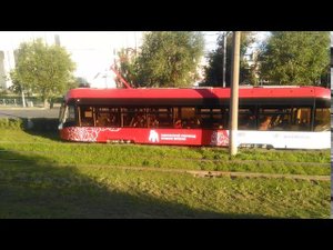 Пермский львёнок новый 2020 5877