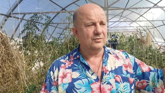 Почему БиОПРЕПАРАТЫ НЕ РАБОТАЮТ? Больше никогда не буду пользоваться триходермой и сенной палочкой! смотреть онлайн