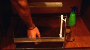 Оформление террариума для паука птицееда