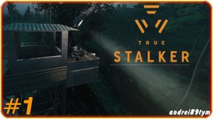 S.T.A.L.K.E.R. True Stalker. Прохождение 1 (21.01.2024)