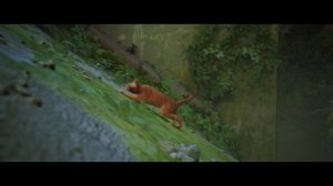 Рыжий кот упал с трубы  (Момент из игры stray) .