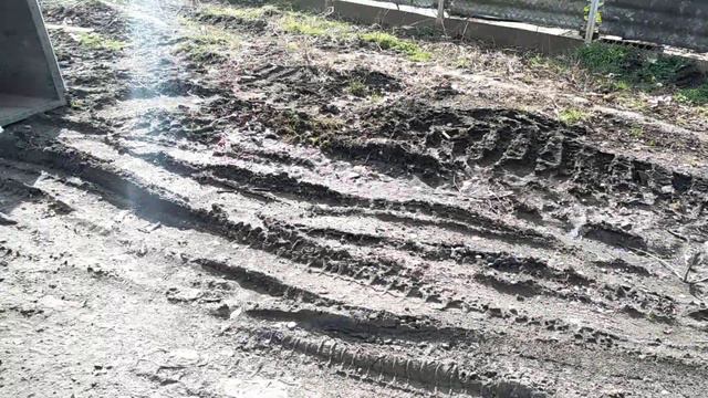 Проблемы возле двора динчанина смотреть онлайн