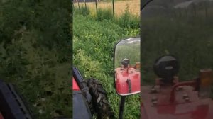 Работа косилки ( Ботвоудалитель )