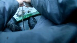 Зимняя рыбалка на карася косынкой (экраном, флажками, телевизором). Зима 2018. Рыбалка с лодки.