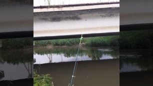 ловим  рыбу