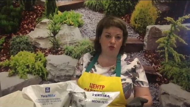 ХЛОРОЗ РАСТЕНИЙ: ЭФФЕКТИВНЫЕ МЕТОДЫ БОРЬБЫ С ХЛОРОЗОМ!