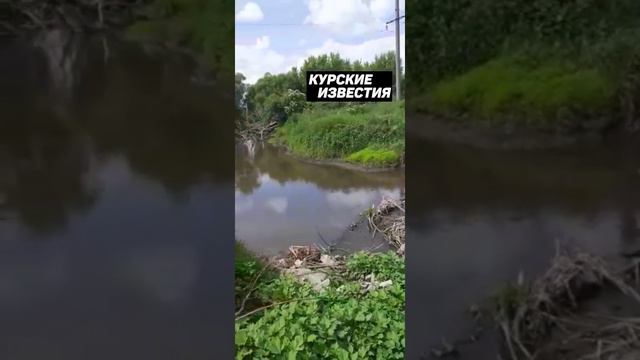 В Курской области засыпали русло реки Оскол бетонными плитами