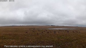 Охота на белолобого гуся. Весеннее открытие во Владимирской области.