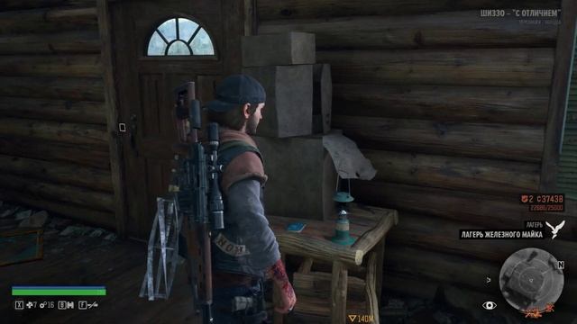 Days Gone 15