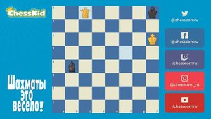 играем в шахматы