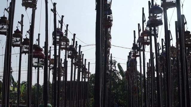 SUARA PERKUTUT LOKAL MENGGEMA DI DEMAK ( P3GD ) смотреть онлайн