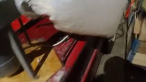 Измельчитель поролона.