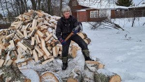 Yoll's stream утренние пташки в Совином доле