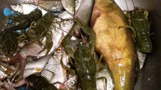 А вы знаете об этом???!!! смотреть онлайн