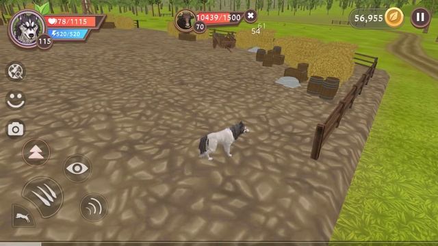 НОВЫЕ ПИТОМЦЫ в WILDCRAFT, ЧТО ЕЩЕ БУДЕТ В ОБНОВЛЕНИИ ВИЛД КРАФТ Симулятор Волка #63 смотреть онлайн