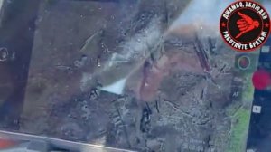 Служащие ВС РФ в составе казачьего батальона выполняют задачи по сдерживанию боевиков ВСУ