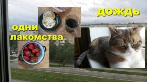 Смыло дождями))) Небольшая закупка! Отрываюсь по вкусняшкам!