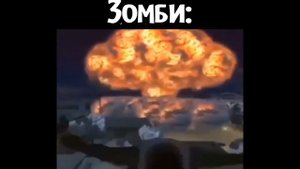 PvZ мемы из Reddit с переводом