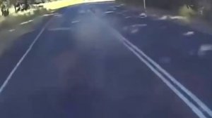 приколы с мотоциклистами