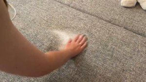 За смешные копейки избавилась от неприятного запаха у ковра и дивана благодаря советскому "лайфхаку