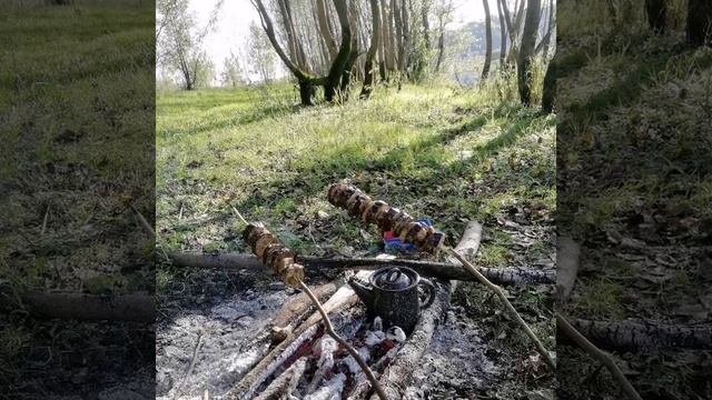 Верхняя терсь