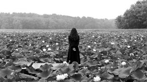 Один в каное – Ікони