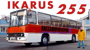 ДРЕВНИЙ БОГ / Ikarus 255/ Иван Зенкевич