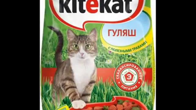 кошачья радость