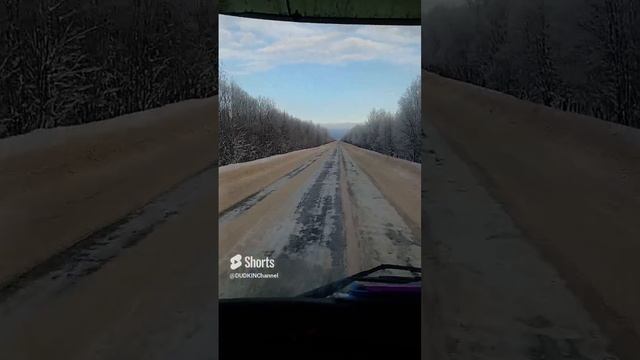 Вологодская обл. дорога на Виликий Устюг смотреть онлайн