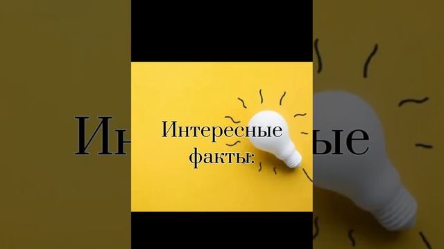 Всё о ГРАНАТАХ. Застывшая кровь дракона или талисман любви? смотреть онлайн