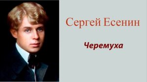 Сергей Есенин - Черемуха