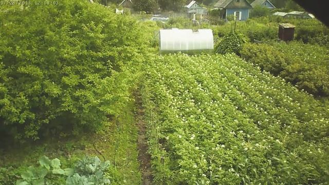 Дача за лето. Таймлапс. смотреть онлайн