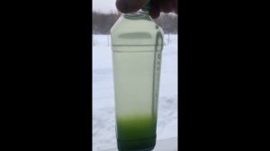 Хлорелла для растений. Как она должна выглядеть? Не дайте себя обмануть!