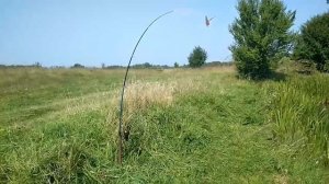 Самоподсекатель для спиннинга своими руками. Подсекатель для донной удочки. Автоподсекатель