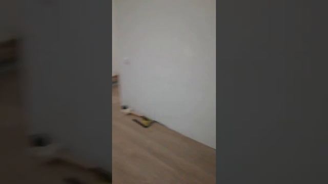 Закончили стелить ламинат, зал и коридор! 16.08.2021г. смотреть онлайн